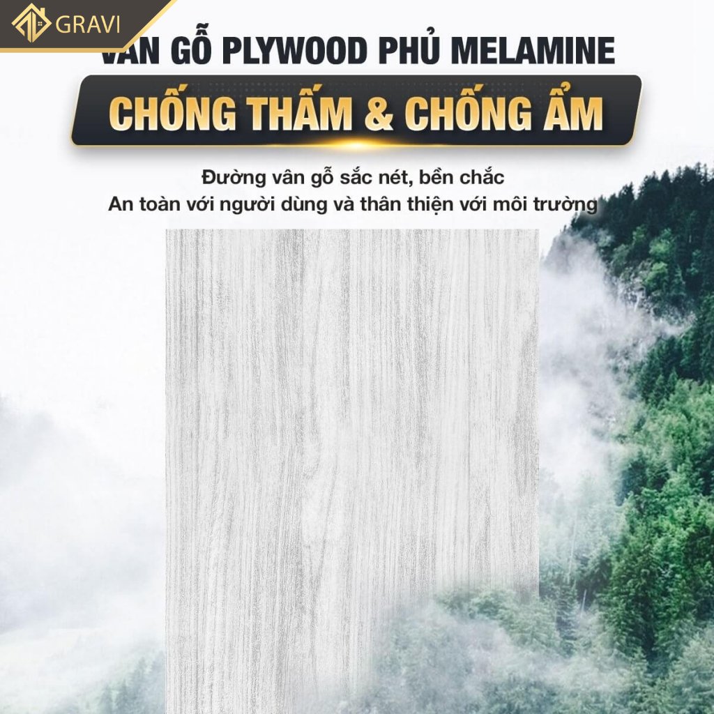 Tủ gương phòng tắm G4 (11)
